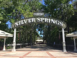 Silver Springs State Park