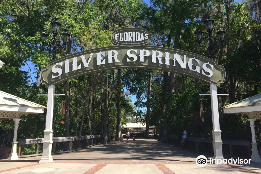 Silver Springs State Park