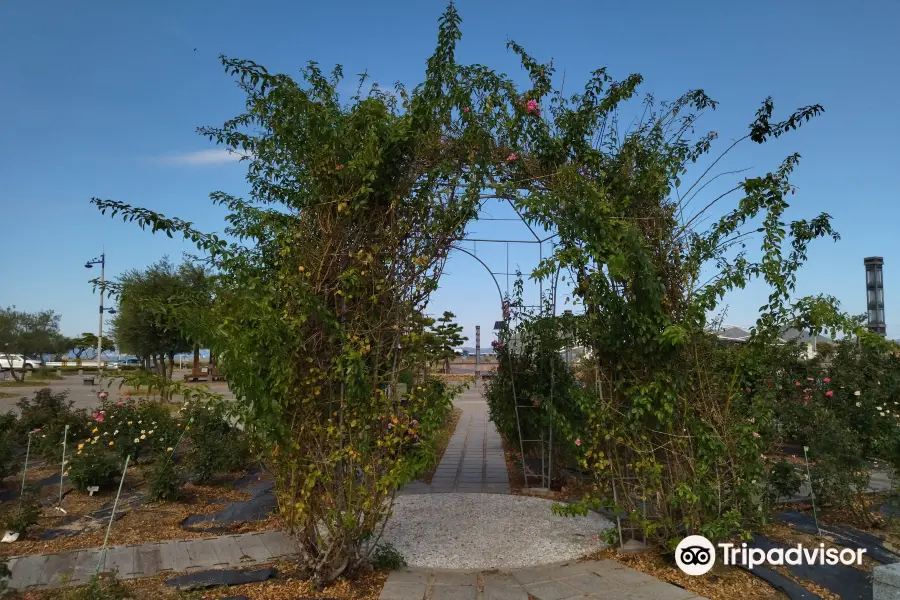 Sunport Rose Garden