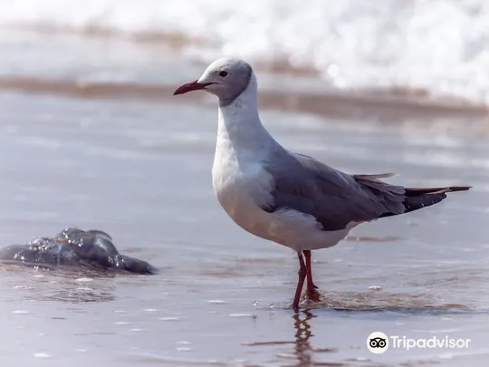 5_iSimangaliso Wetland Park