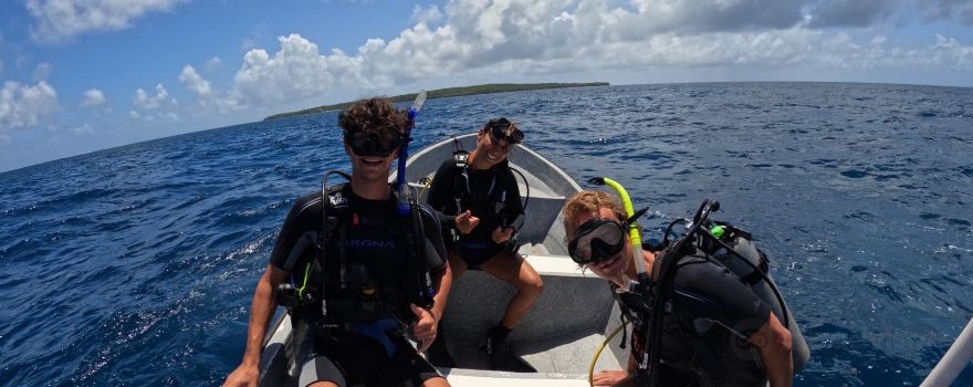 Dolphin Dive