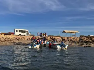 Baja Discovery
