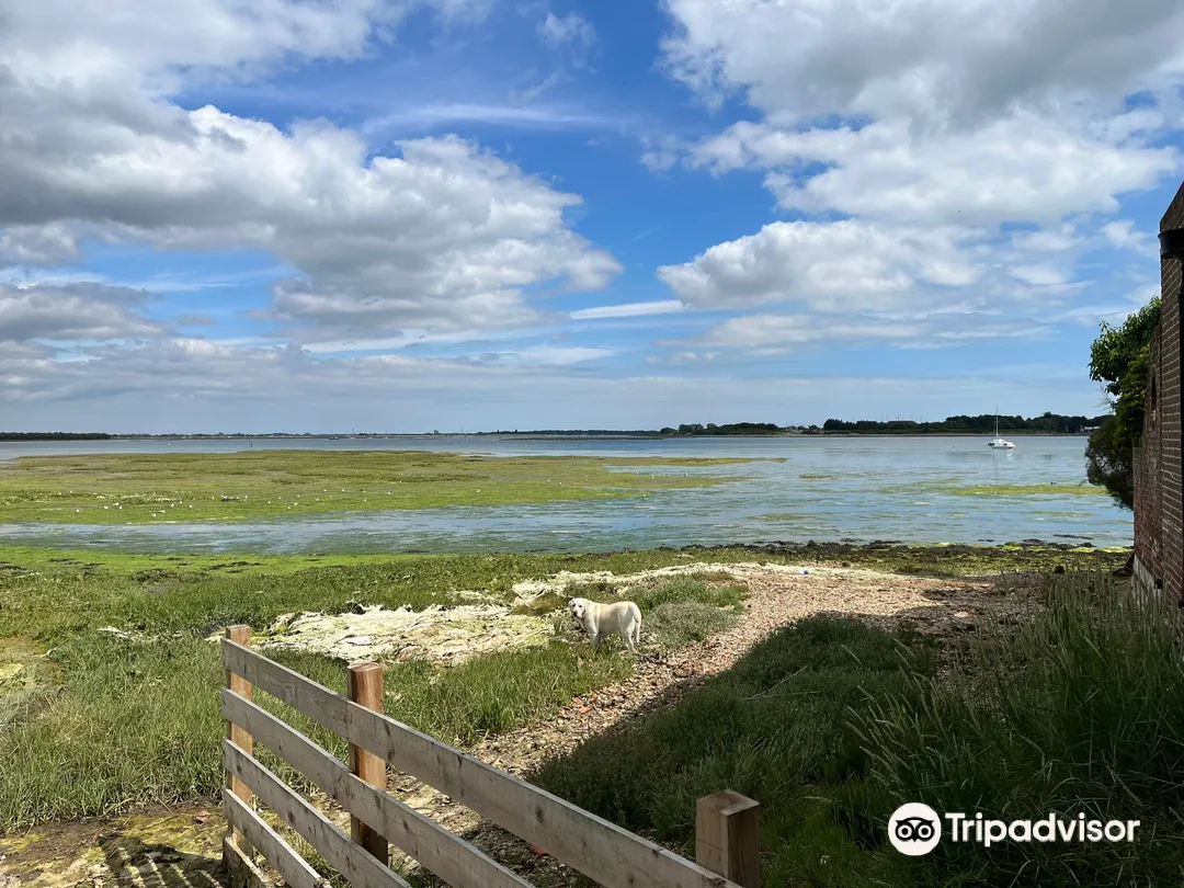 3_Langstone Harbour