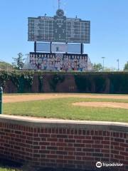 Little Cubs Field