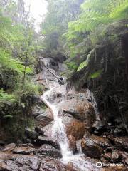 La La Falls Walk