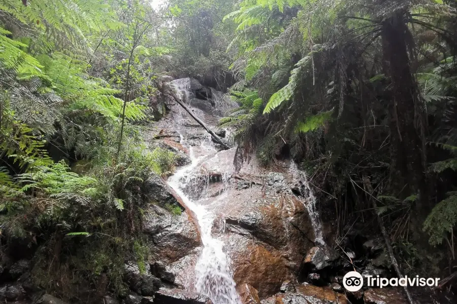 La La Falls Walk