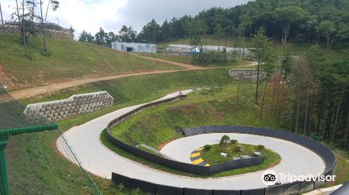 Skyline Luge Tongyeong