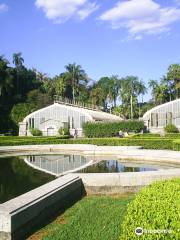 Jardin botanique de São Paulo