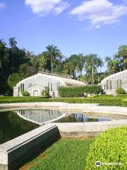 Ботанический сад Сан-Паулу