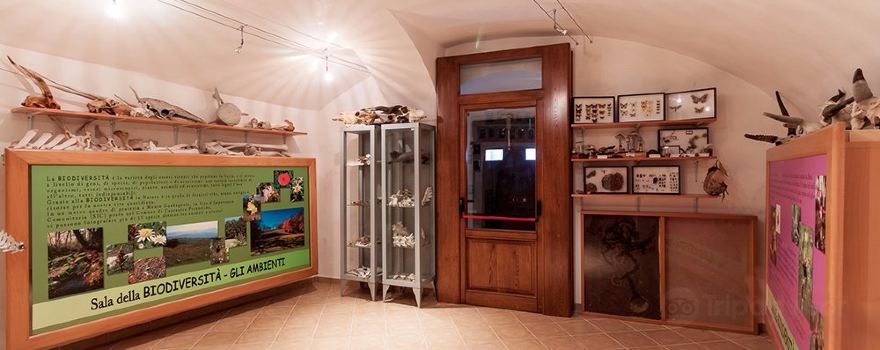Museo Naturalistico Dei Monti Prenestini