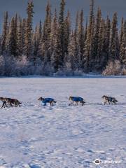 The Alaska Dogstead Mushing Company