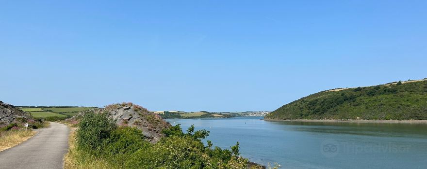 The Camel Trail