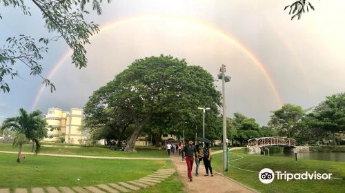 Universidad del Magdalena