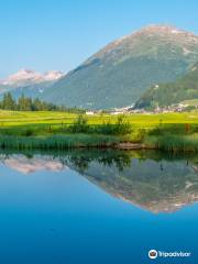 Engadine Golf Club - Anlage Samedan