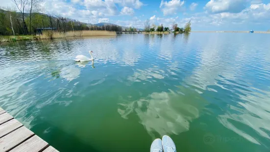 ビエラフスキエ湖