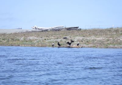 Big Lagoon County Park