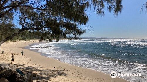 Shelly Beach