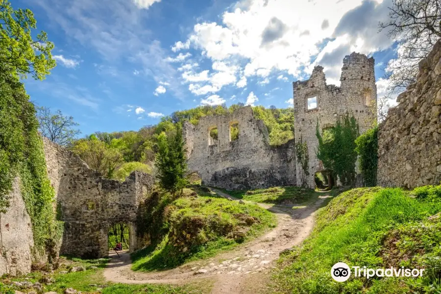 Samobor Castle