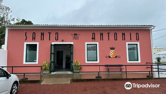Pineapples Santo António