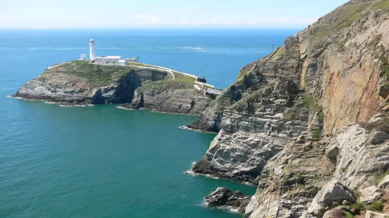 RSPB Cymru Ynys Lawd, RSPB South Stack