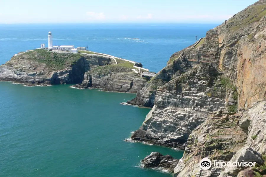 RSPB Cymru Ynys Lawd, RSPB South Stack