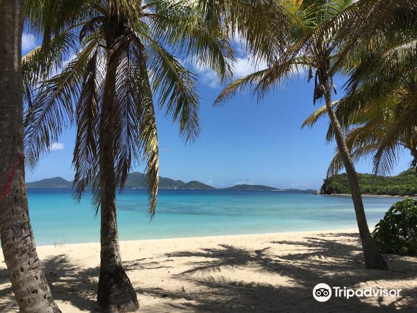 Voli da Brasilia per Tortola