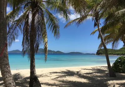 Tortola