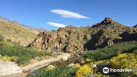 Indian Canyons