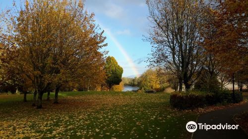 University of Limerick