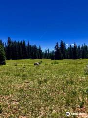 Grizzly Peak Trail