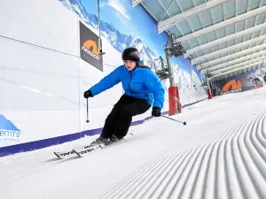 The Snow Centre