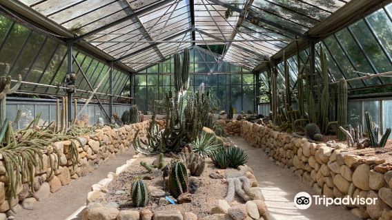 Orto Botanico