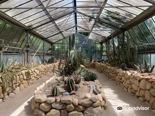 Orto Botanico