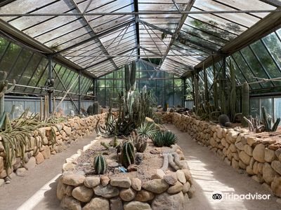 Orto Botanico