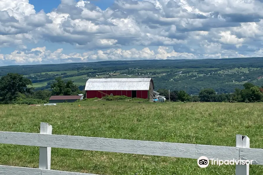 Shtayburne Farm Creamery