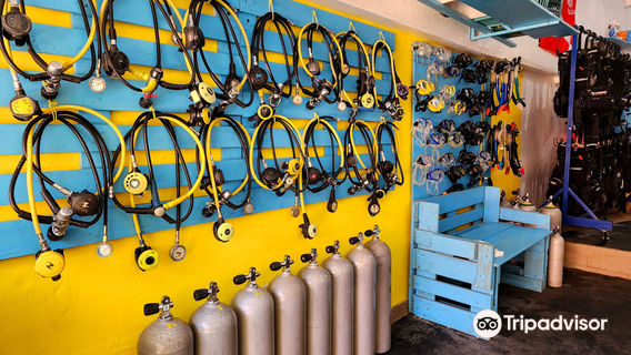 Divecenter Merlin S.R.L.