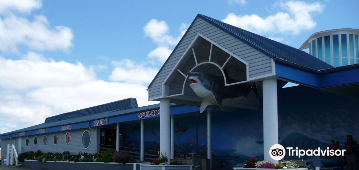 Things to do in Crescent City - Trip.com