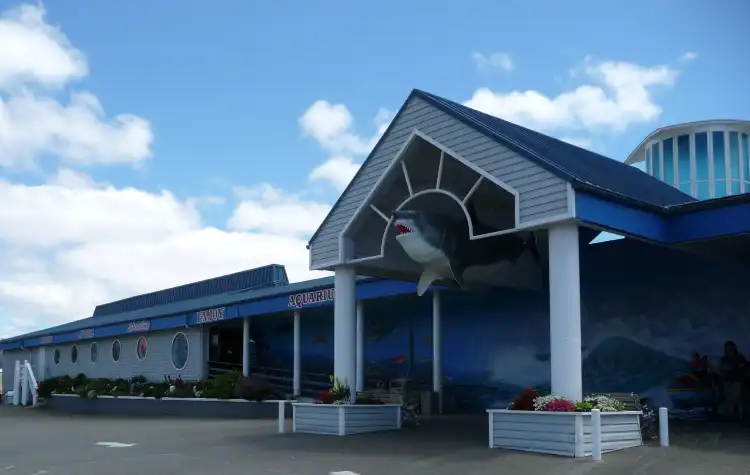 Hotel dekat Ocean World