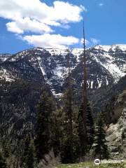 Mary Jane Falls Trail