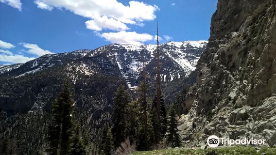 Mary Jane Falls Trail