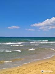 Spiaggia Grande di Acciaroli