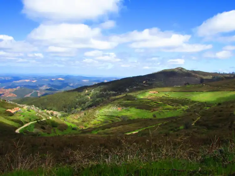 Hotel dekat Serra da Picota