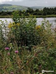 Inch Wildfowl Reserve