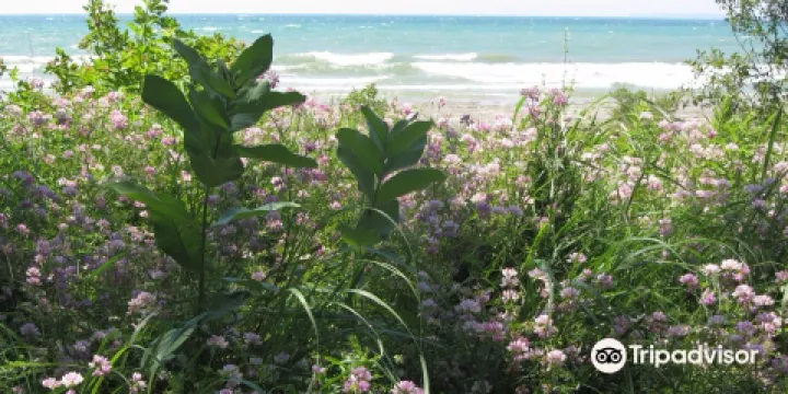 Morgan's Point Conservation Area