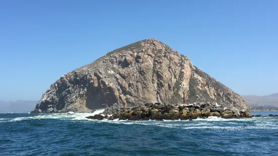 Morro Rock