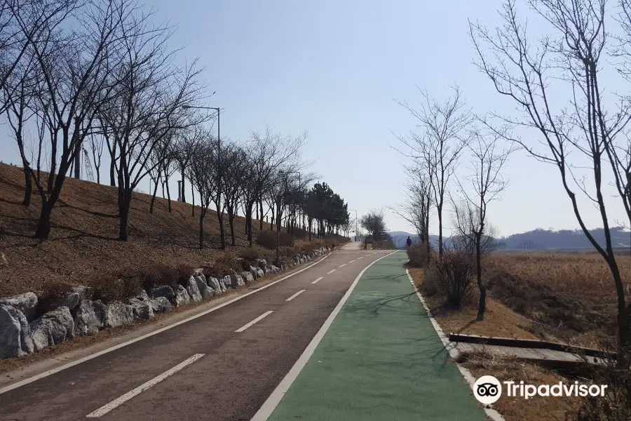 Ansan Reed Wetland