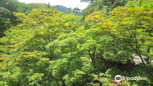 Yahiko Park