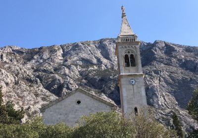 Kotor