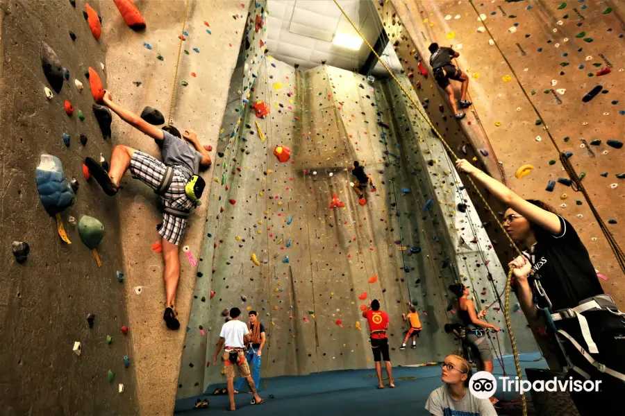 Upper Limits Rock Climbing Gym - Maryland Heights