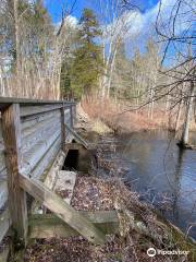 Saugatuck Falls Natural Area